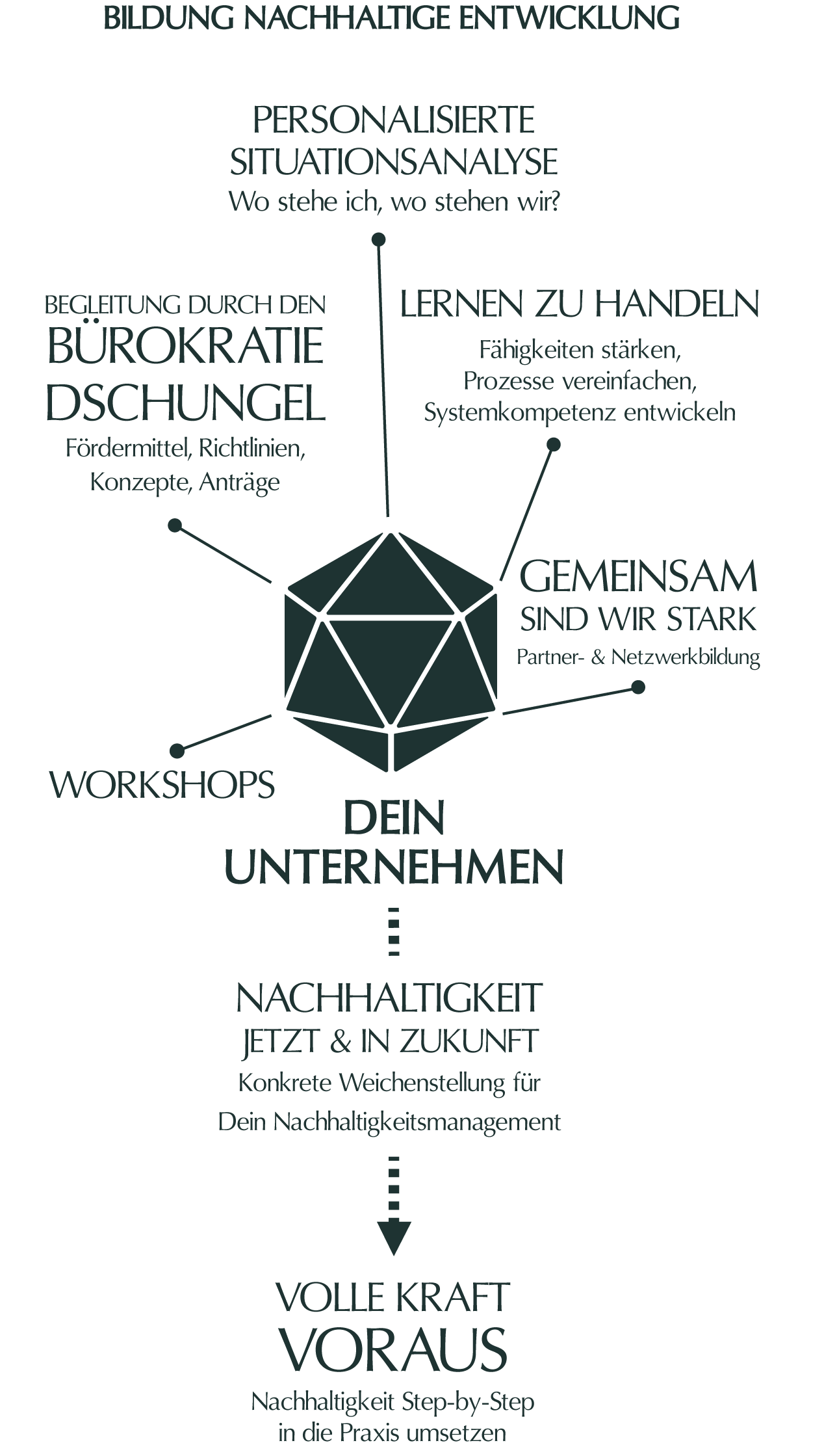 Eine Grafik zur Darstellung einer möglichen Vorgehensweise im bereich Bildung nachhaltige Entwicklung.